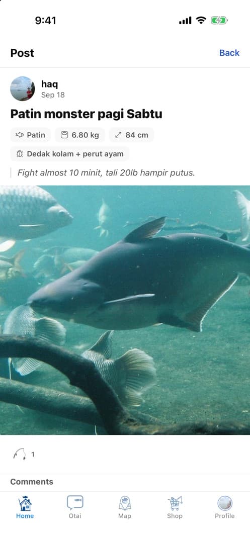 Tangkapan yang direkodkan: patin 6.8 kg menggunakan dedak kolam dan perut ayam